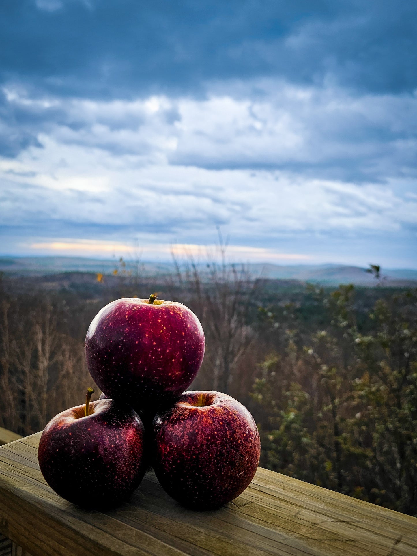 Upstate Vodka Black Oxford Collector's Edition